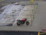 SnowDuc02sm.JPG